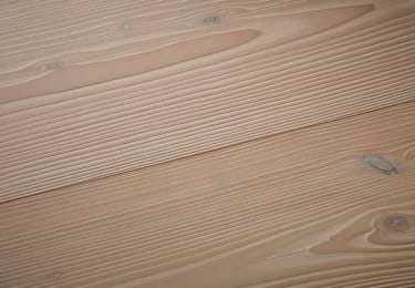 River Douglas Fir